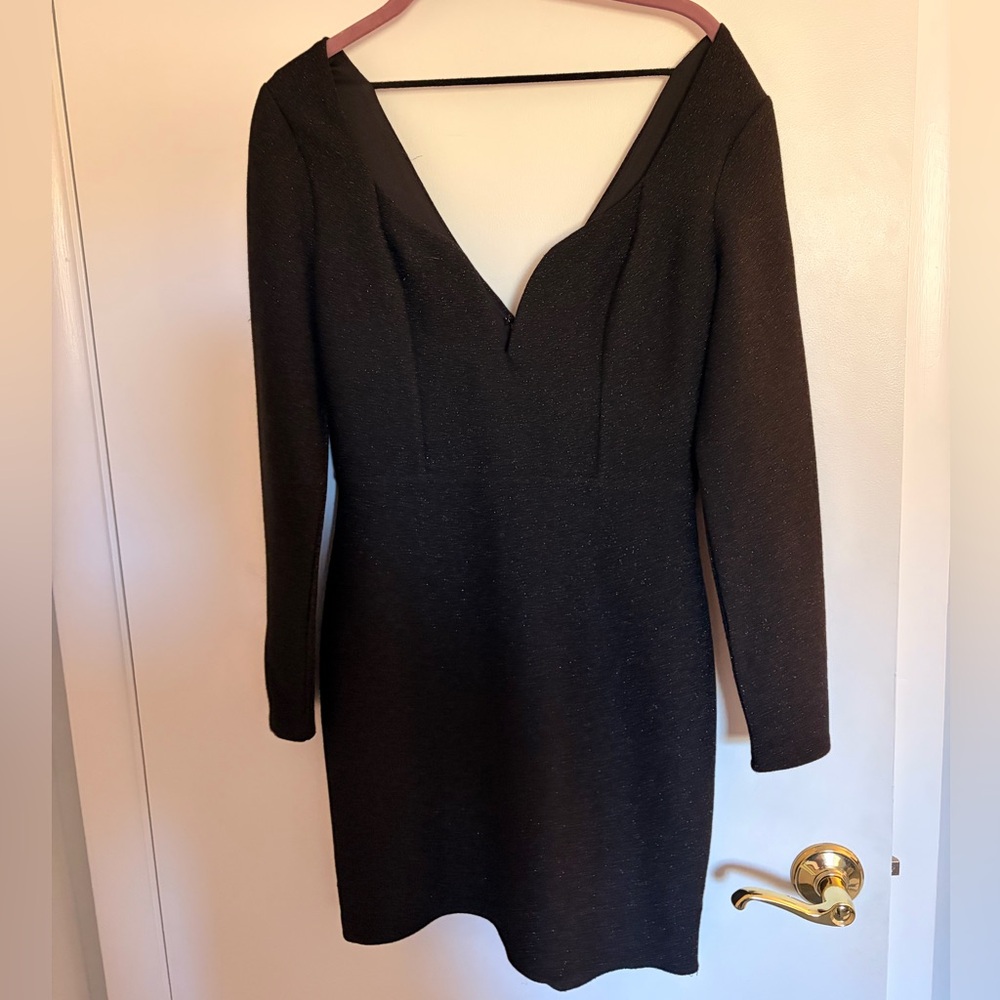Express Elegant Black V-Neck Dress